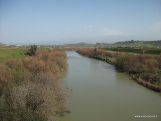lle del Simeto-24-02-2013 10-03-38